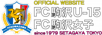 チーム名＆エンブレム.png